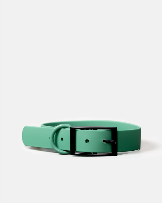 Collar
