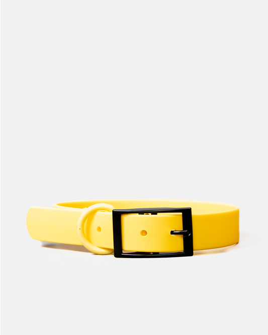 Collar