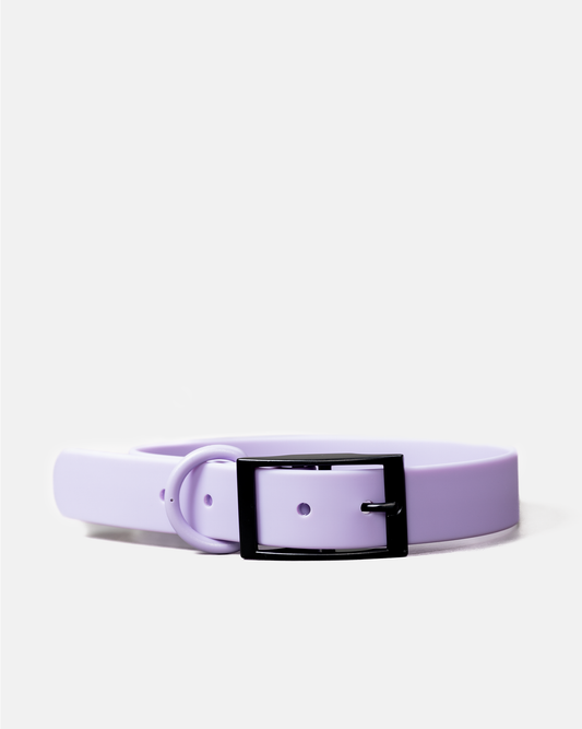 Collar