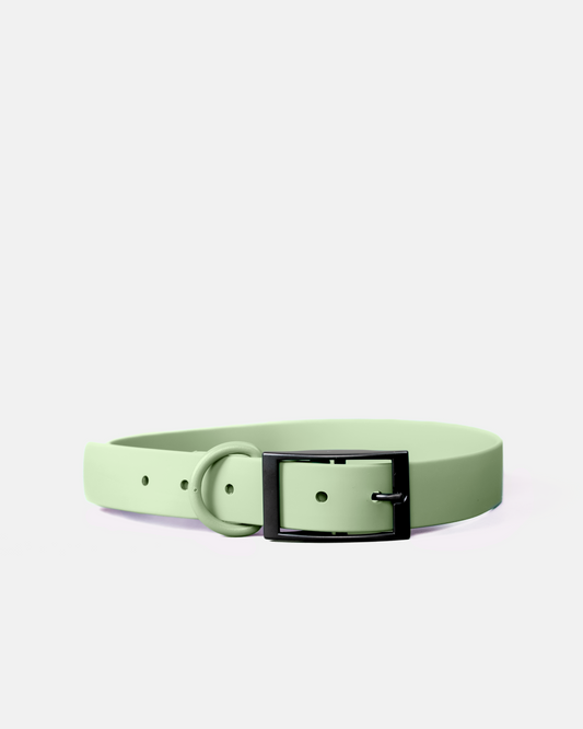 Collar
