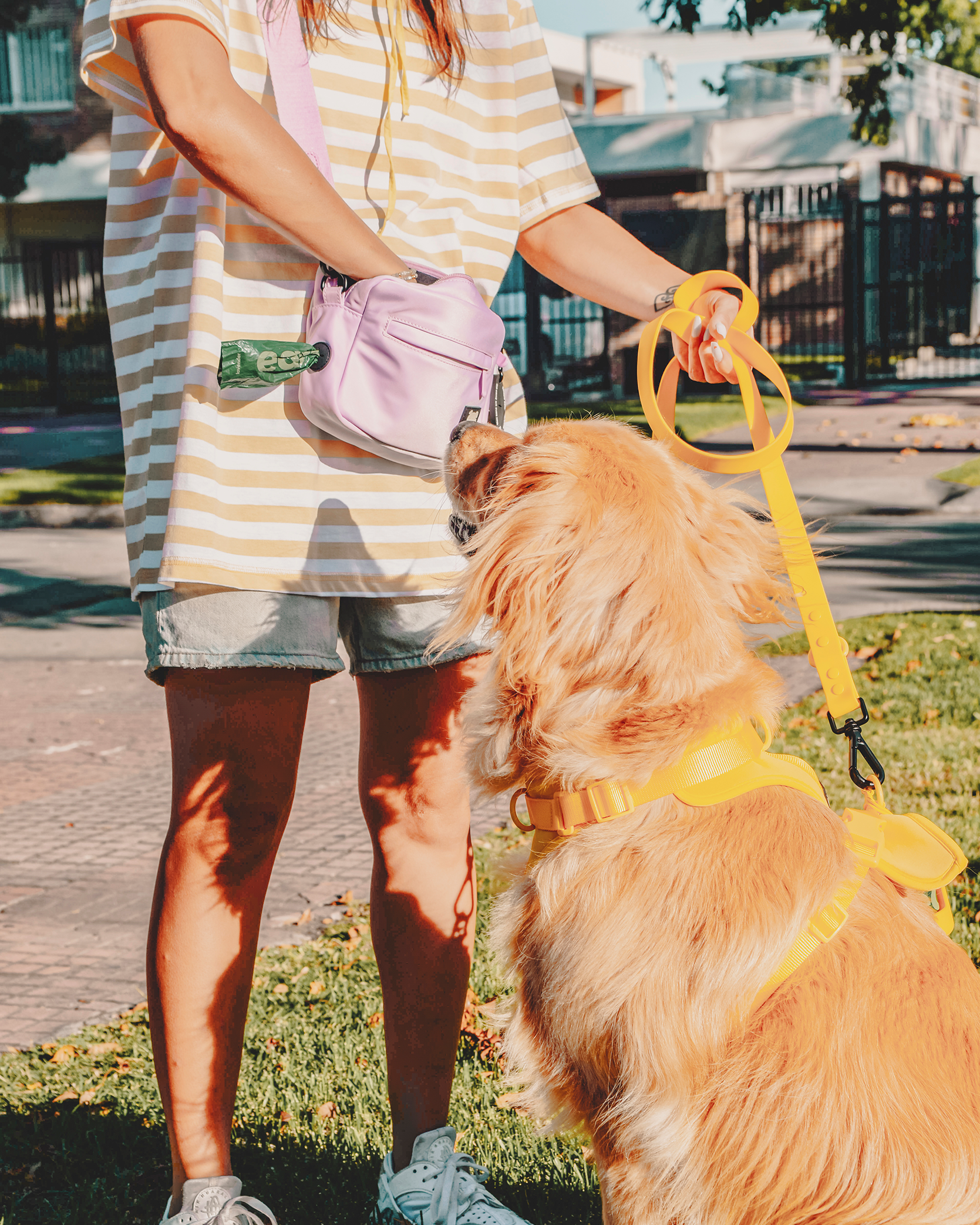 Bolso de paseo