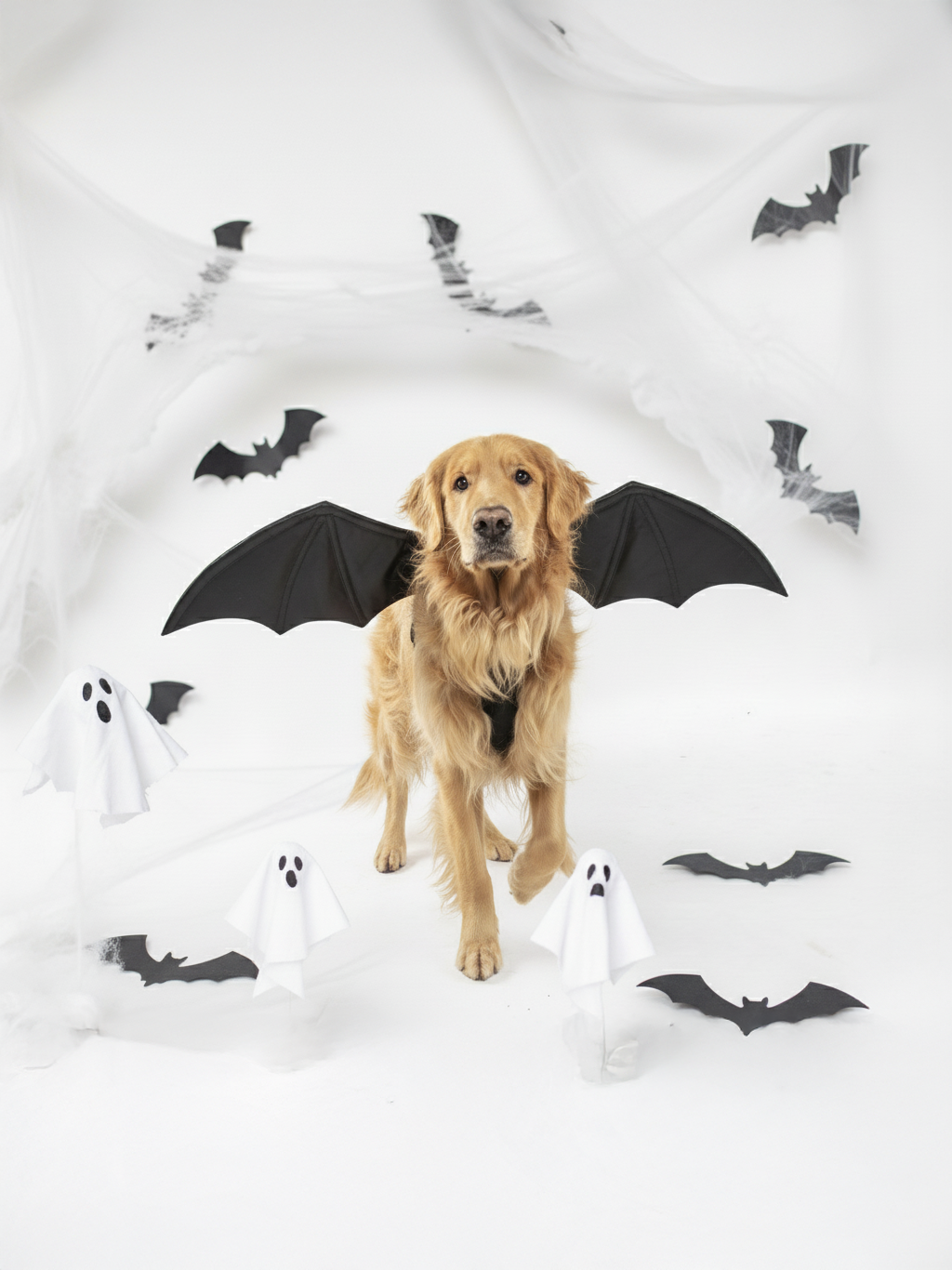 Salvaween