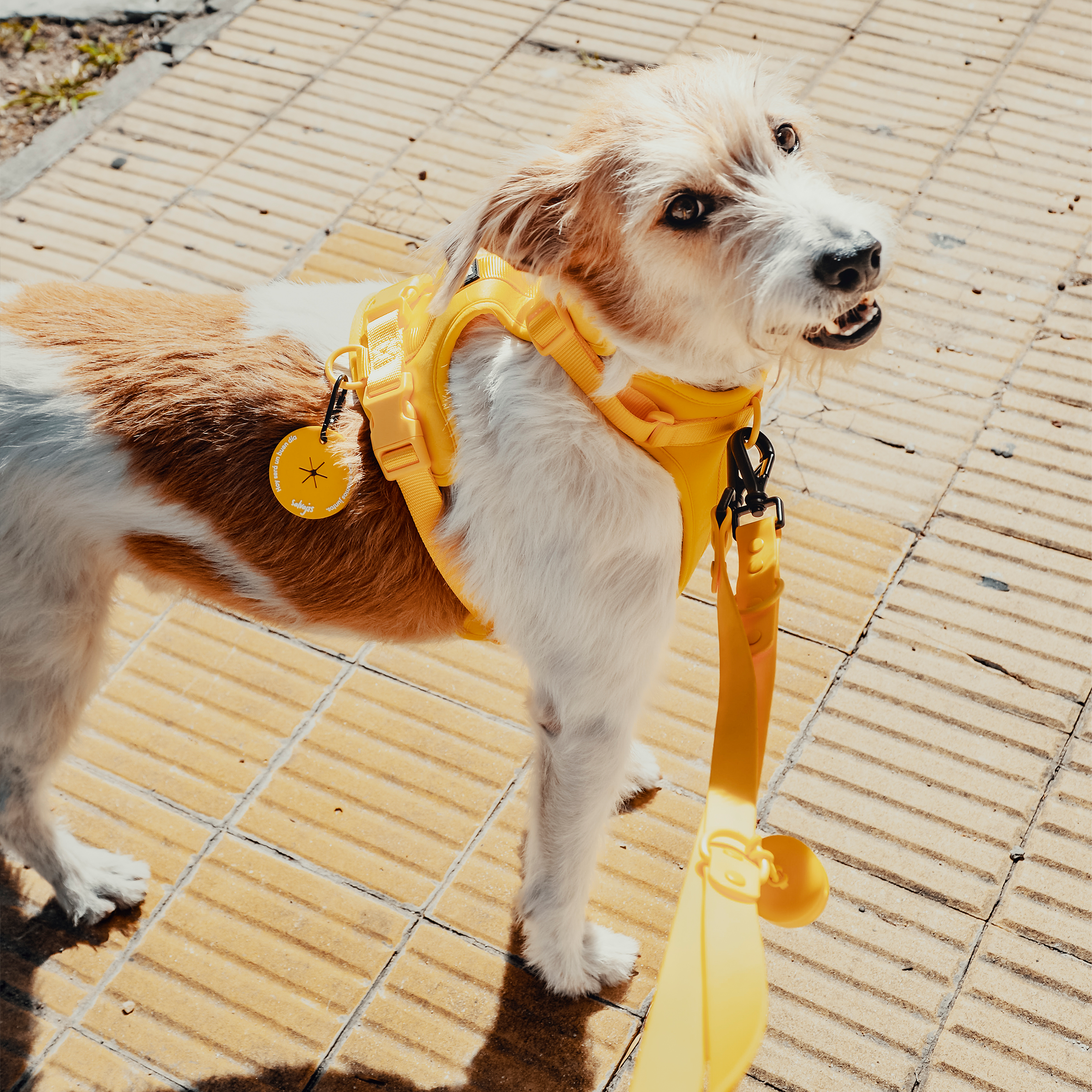 Paseo