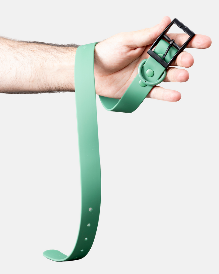 Collar