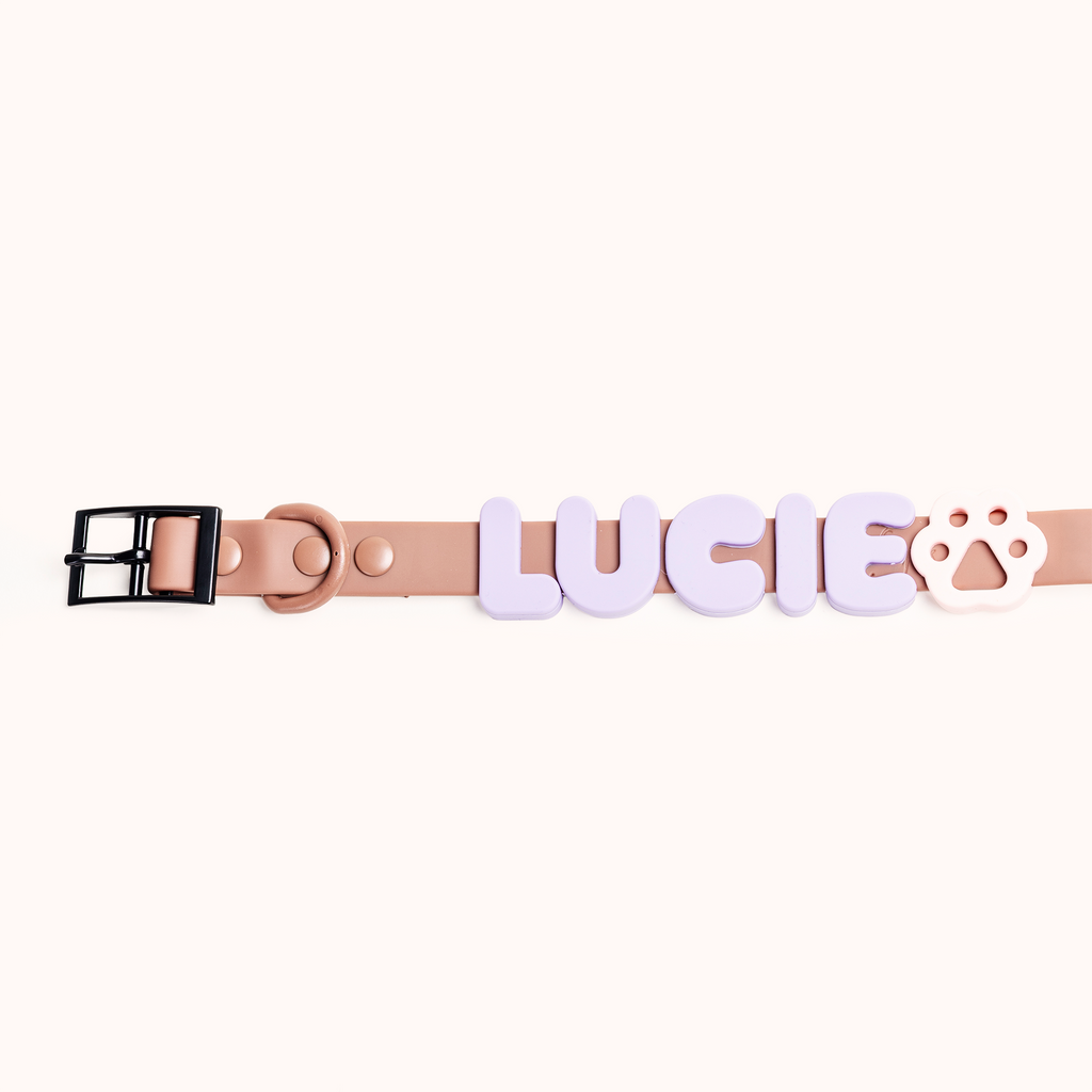 Charms (letras)