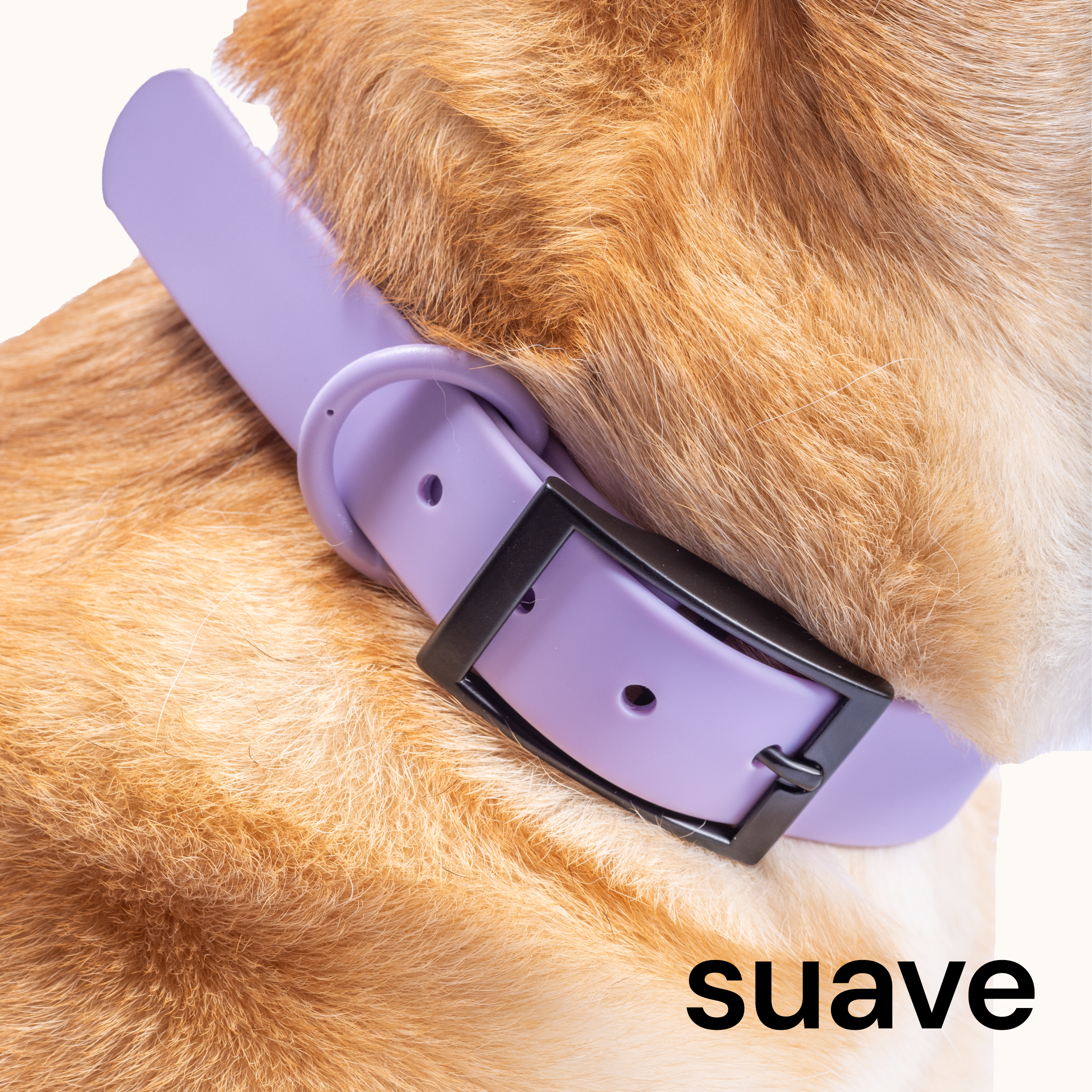 Collar