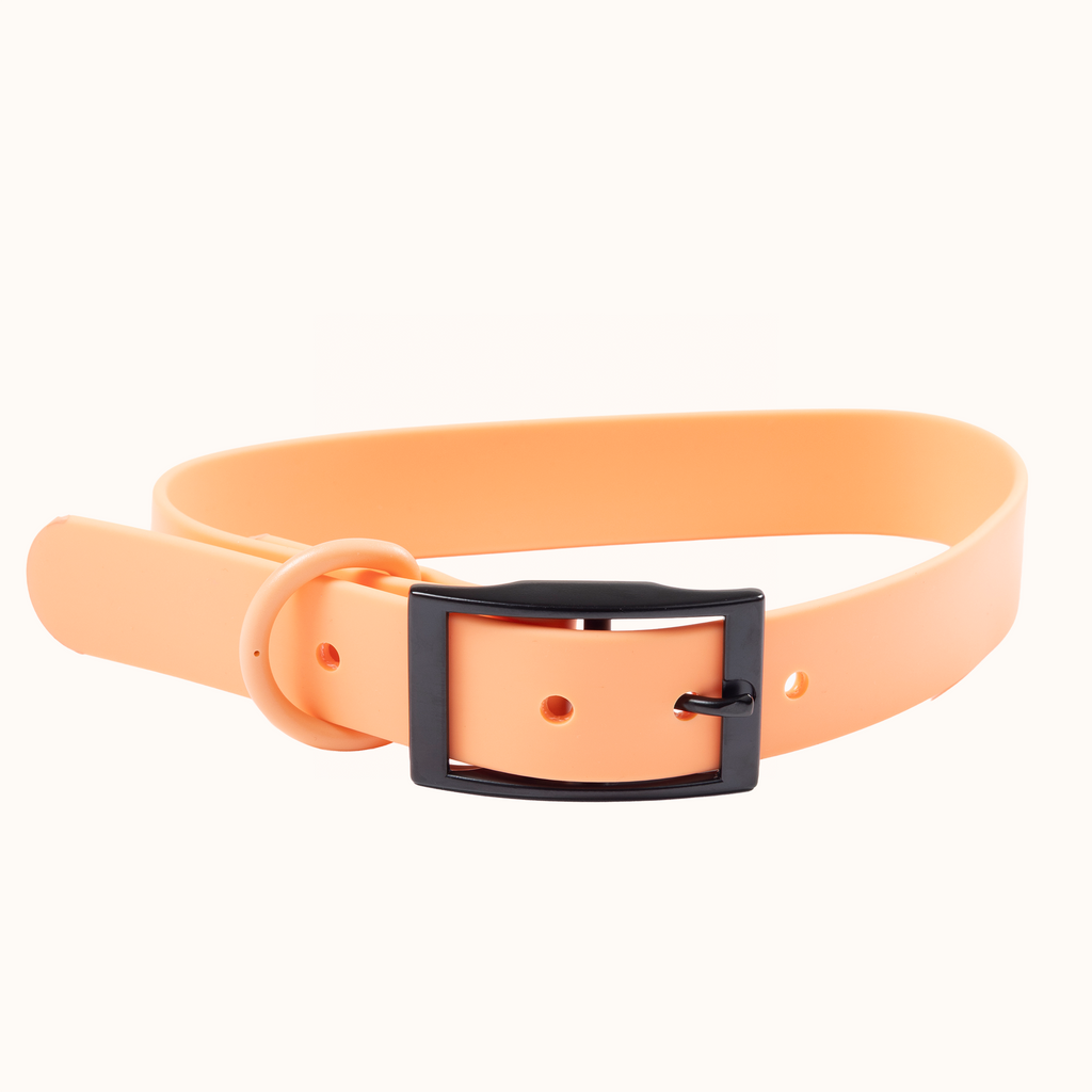 Collar