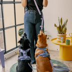 Accesorio manos libres / extensor